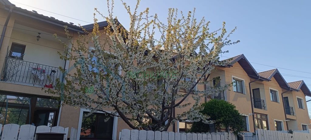 Inchiriez casa insiruita cu 3 camere Valea Lupului - Poză 1