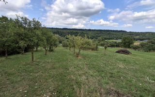 De vânzare teren extravilan în Sibiel, jud. Sibiu – 3223 mp - Poză 11