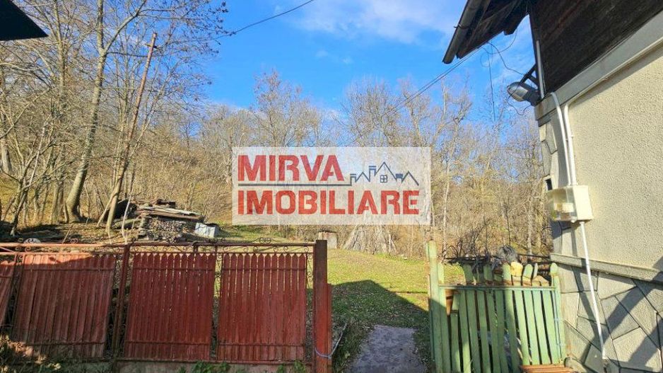 Vanzare casa plus anexa, teren 3843 mp, in Sat Pietriceaua - Poză 15