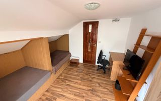1 camera | 17 mp | Sagului| centrala proprie| ideal pentru o persoana - Poză 1