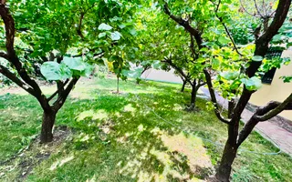 Proprietate individuala premium la intrare in Pischia - Poză 15