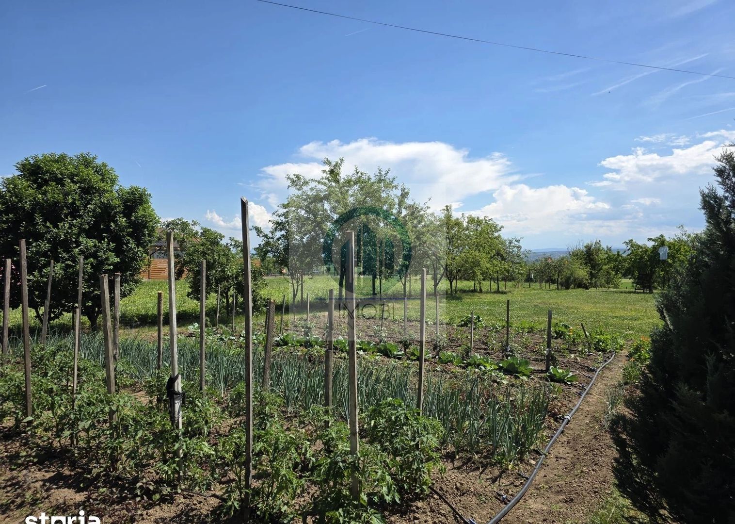 Casa individuala de vânzare | Balata – Soimus | 110 mp| Teren 5.095 mp - Poză 8