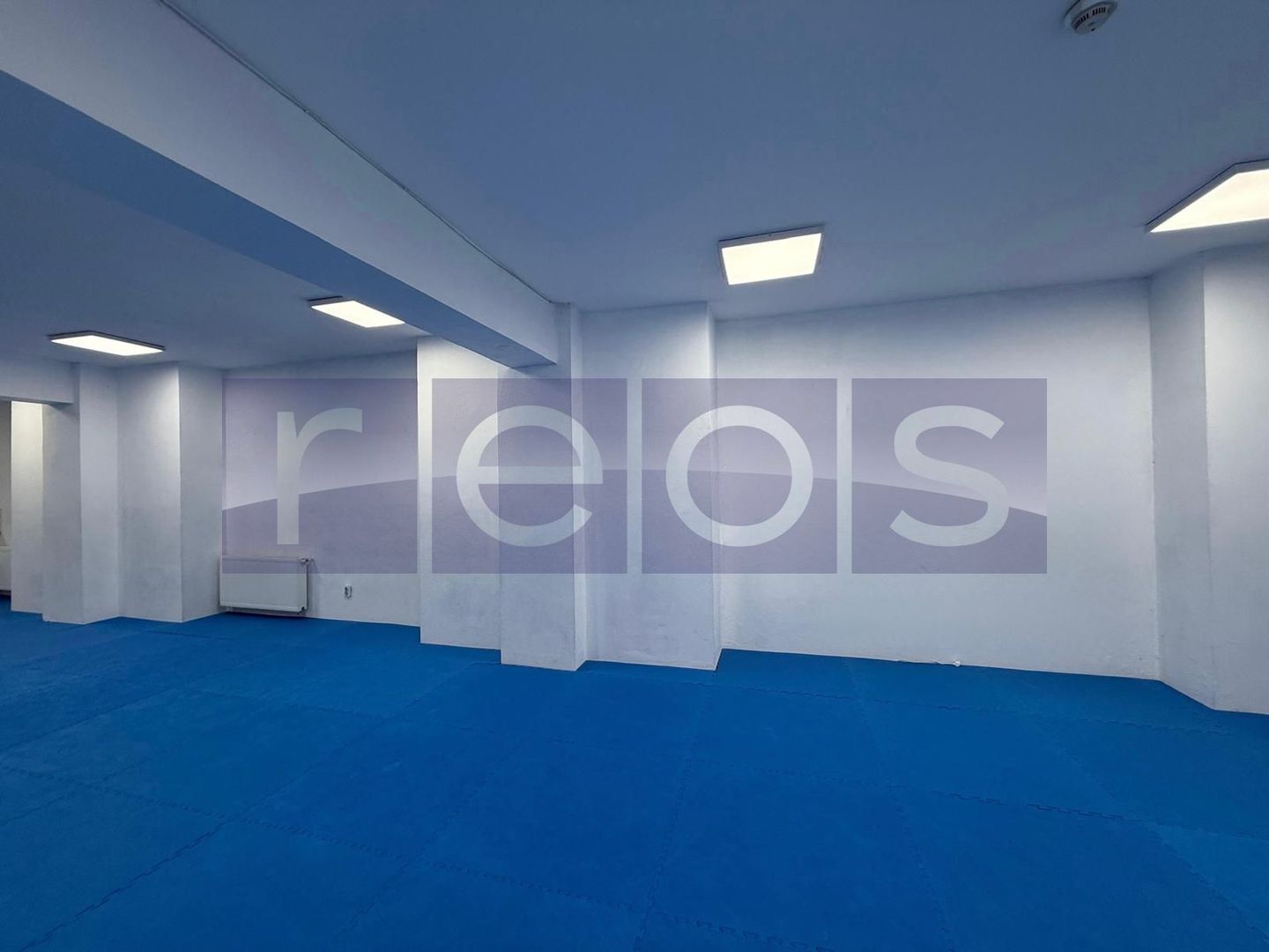 INCHIRIERE SPATIU DEMISOL | BARBU VACARESCU  | 196MP | - Poză 3