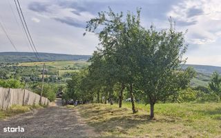 Teren Chicerea – 740 mp, lângă școală - Poză 3