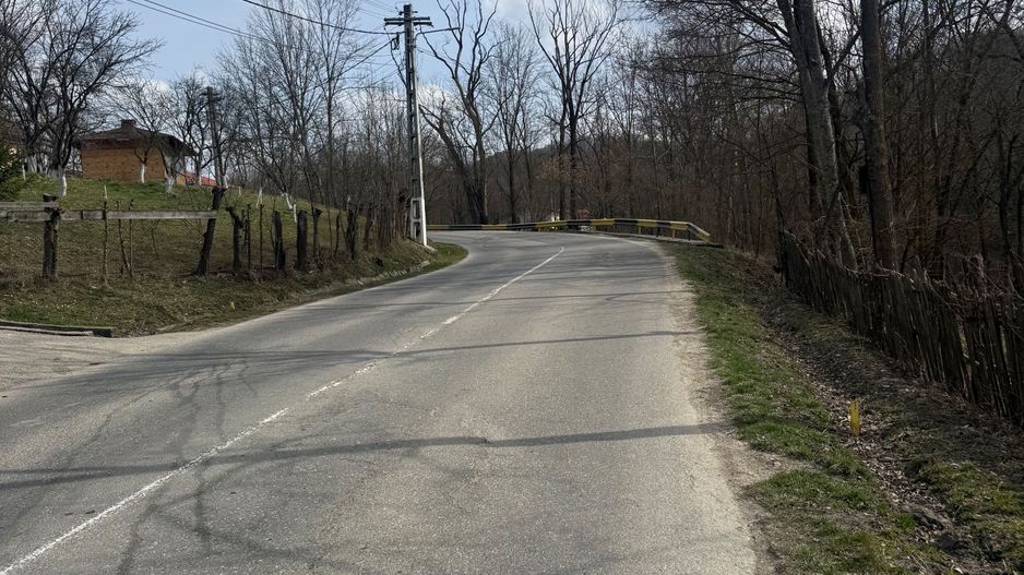 Teren intravilan la asfalt 2100 mp deschidere 21 mp la asfalt! - Poză 9