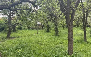 TEREN INTRAVILAN 7018 MP CAMPULUNG - Poză 31