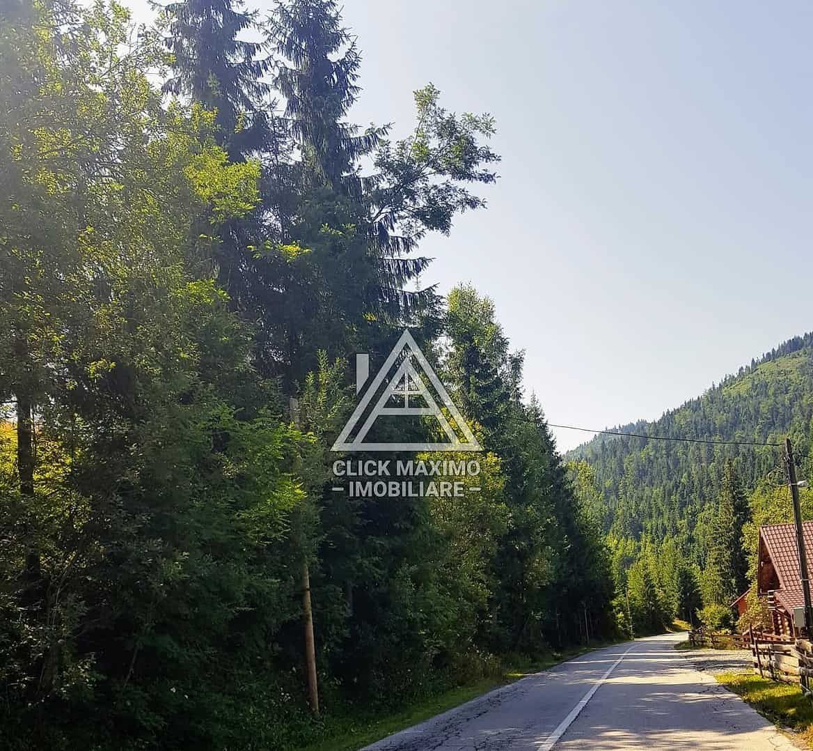 7130 mp TEREN INTRAVILAN ARIESENI-ALBA langa viitoarea partie de SCHI - Poză 3