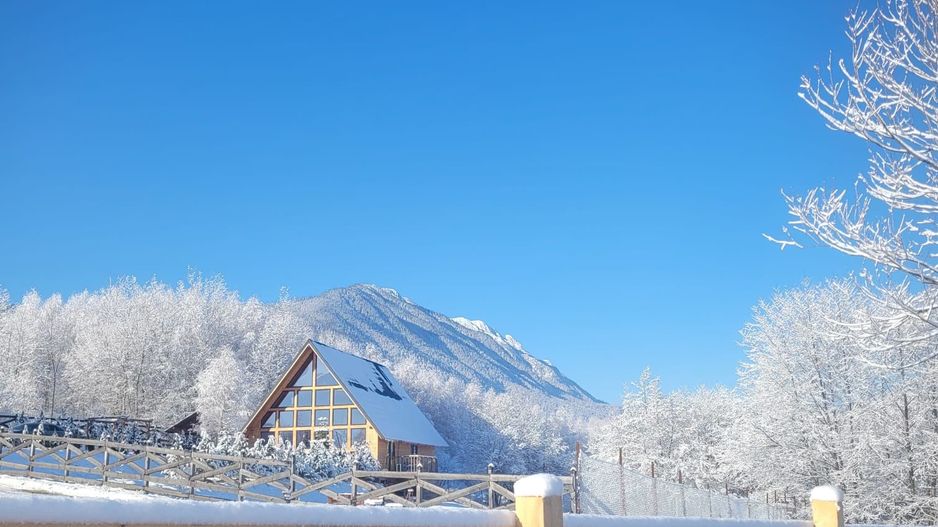 A-Frame de vânzare Bran - Poză 12