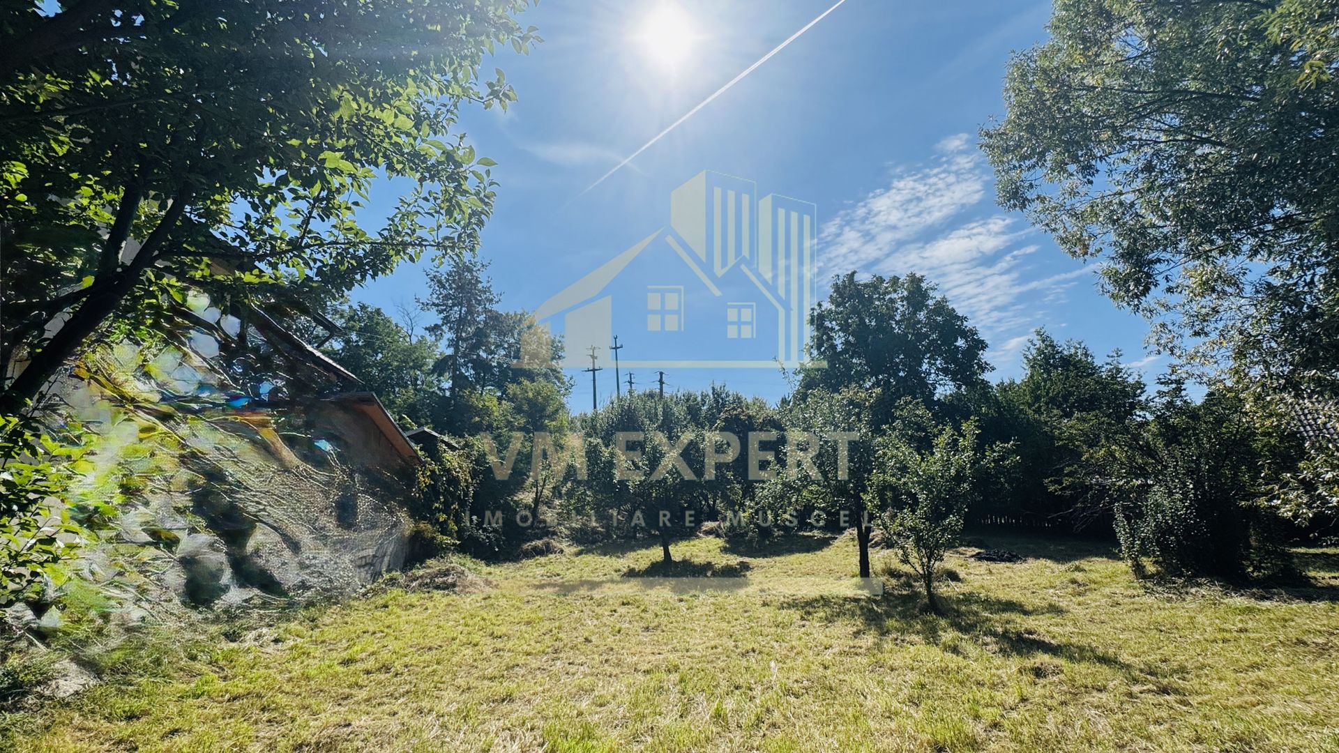 TEREN INTRAVILAN 3234 MP LEREȘTI VOINEȘTI ARGEȘ - Poză 4