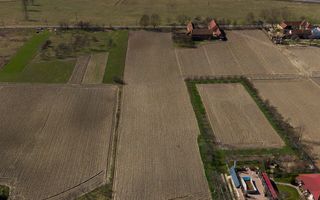 Loc de casă în Odvoș - Conop 3000mp - Poză 26