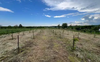 🏡 CASĂ + TEREN INTRAVILAN 4.971 MP – URECHEȘTI, VRANCEA - Poză 22
