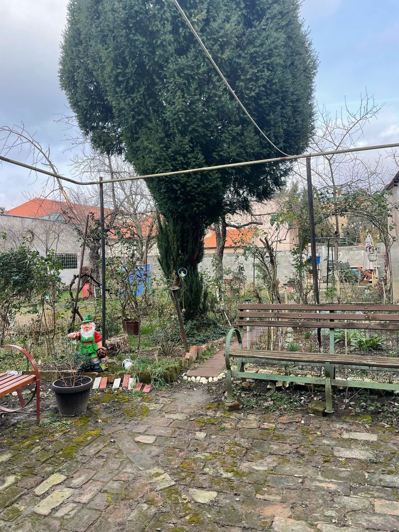 APARTAMENT DEOSEBIT SI SPATIOS | ELISABETIN - comision 0 - Poză 13