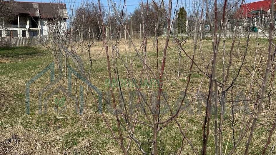 Teren intravilan de vânzare în centrul comunei Bârnova, Iași - Poză 5