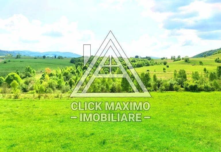 25.000 mp TEREN Ciucea – Calea Lata, jud. Cluj - Poză 5