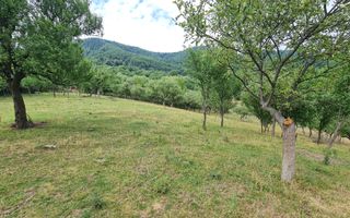 Teren de vânzare | Suprafață 10.040 mp | 2.500 € / ar | Strada Nucului - Poză 5