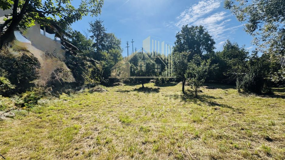 TEREN INTRAVILAN 3234 MP LEREȘTI VOINEȘTI ARGEȘ - Poză 9