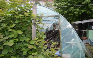 Casă tip duplex Suceava/Cartier Zamca Bloc 4 apartamente/Clinica - Poză 75