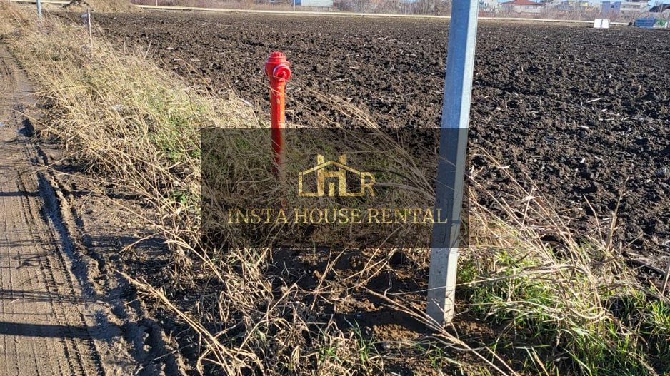 Teren 14377 mp Odai / Otopeni / 5000 mp intravilan - Poză 2