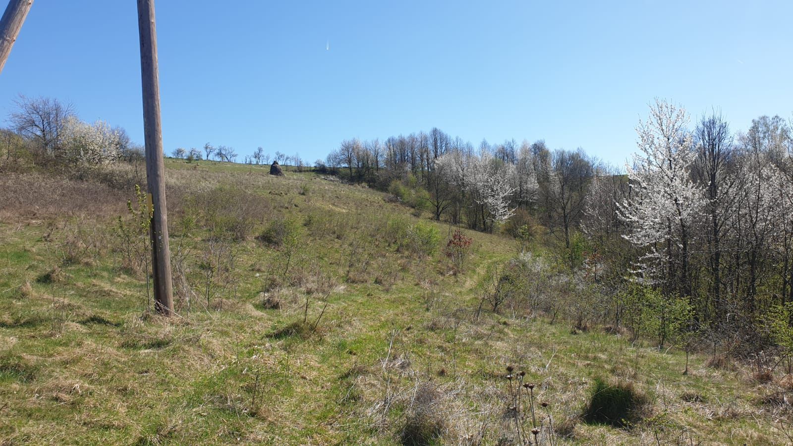 Teren cu panoramă fabuloasă, 10.059 mp, Roșia. 19.000 EUR. Comision 0 - Poză 5