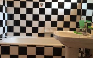 Apartment Mihalache/Parc Kiseleff - Poză 5