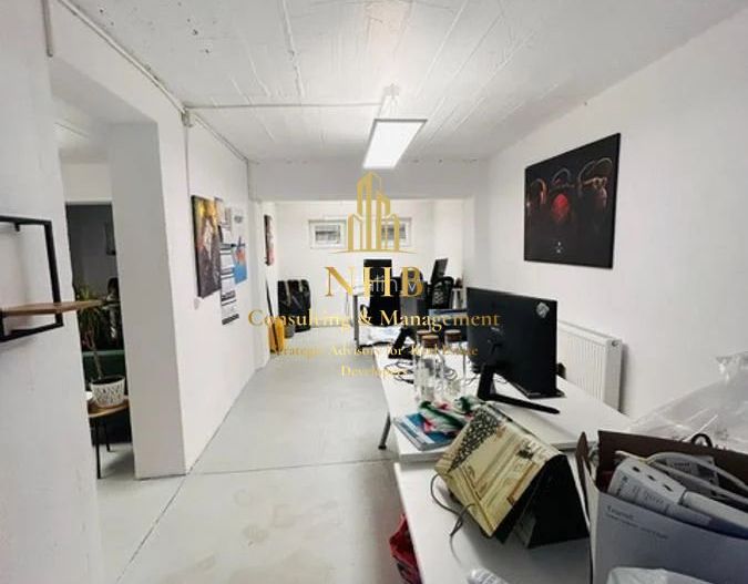 Casa/Vila 5 camere | Tei | Spatiu birouri - Poză 10