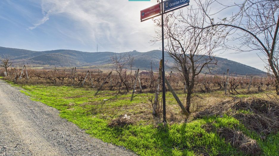 Casuță cu priveliște panoramică spre Cetatea Șiria - Poză 29