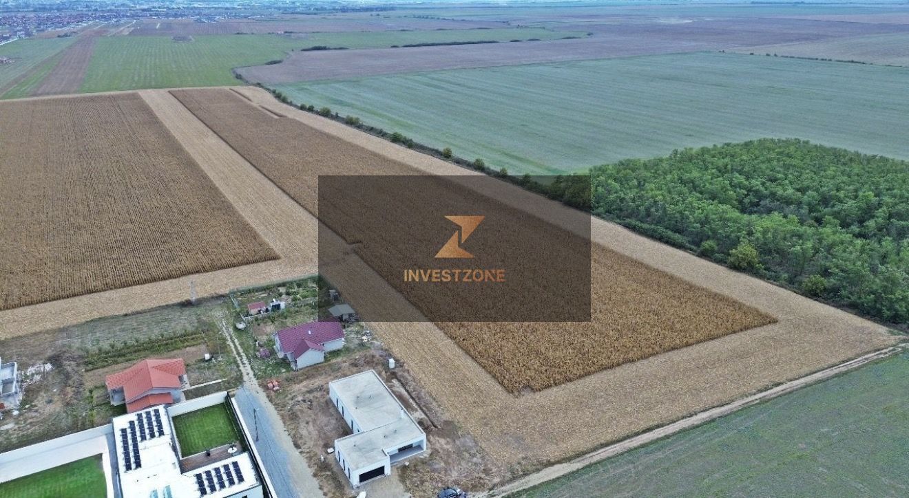 27.200 mp comuna Santandrei - Bihor - Oradea - Poză 3