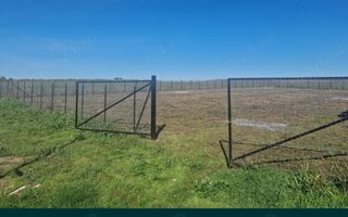 Teren extravilan  intravilan Holboca - Poză 1