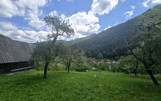 Teren | 2946MP | Priveliște Panoramică | Râu Sadului - Poză 1