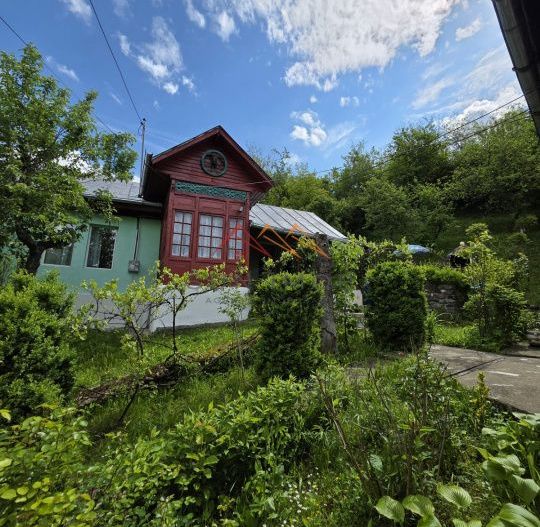 Casa rustica, teren 2000 mp, peisaj de vis, Provita de Jos, Prahova - Poză 4