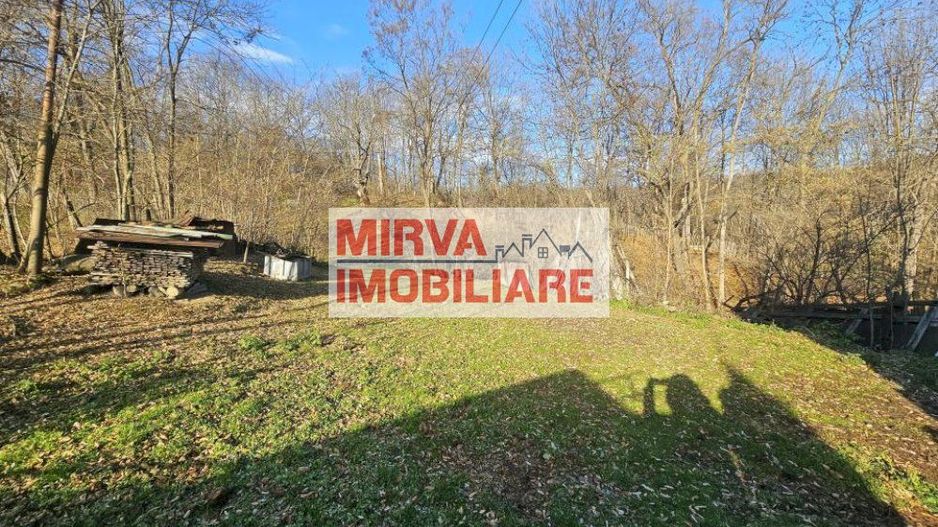 Vanzare casa plus anexa, teren 3843 mp, in Sat Pietriceaua - Poză 12