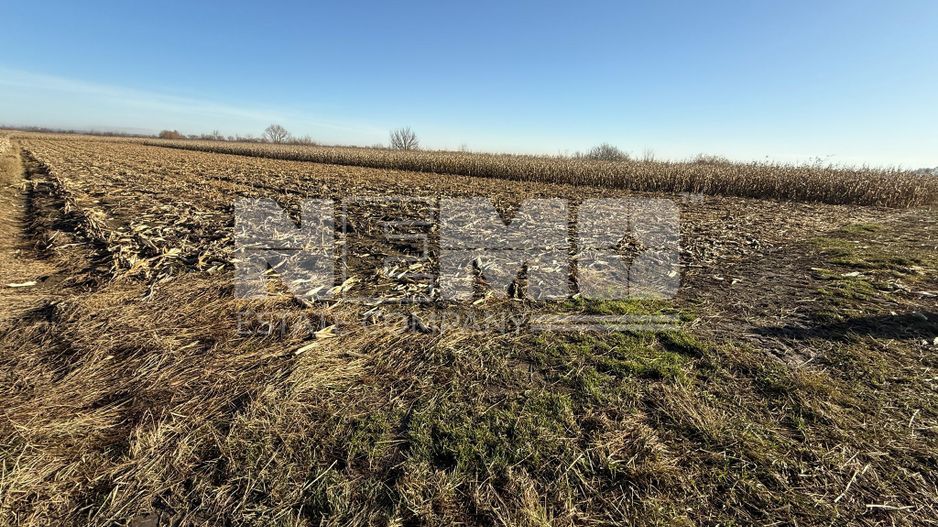 TEREN EXTRAVILAN  51 ARI |  HORODNIC DE JOS  | - Poză 1