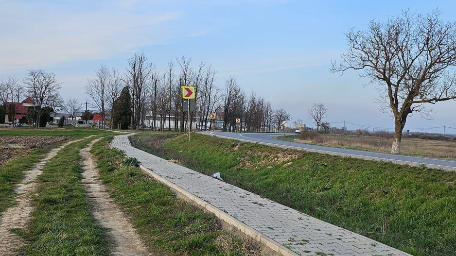 Teren 21600 mp in apropiere de Autostrada Transulvania - Poză 4