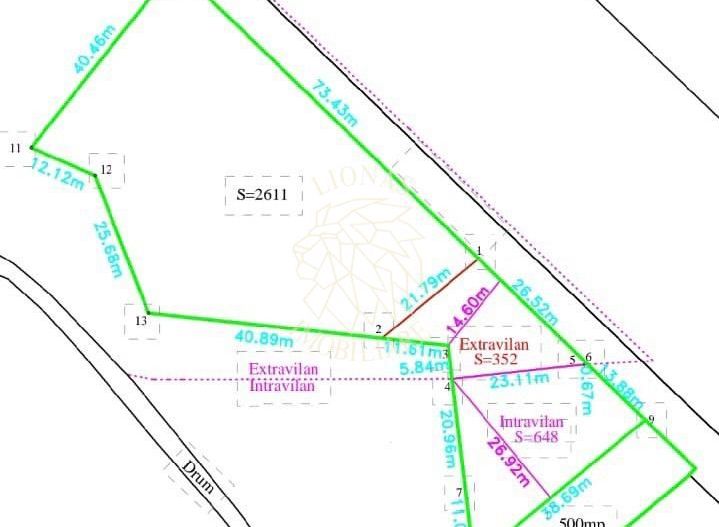 Teren 4761 mp-Parcelabil-pretabil investitie, casa-Viisoara - Poză 3