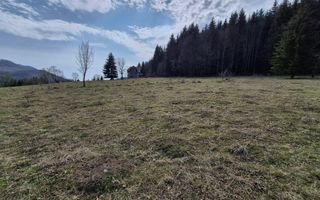 Teren intravilan la baza pădurii Valea Doftanei sat Traisteni (poduri) - Poză 7