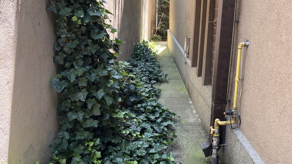 ANDRONACHE | Vila 4 Camere | Garaj  | Curte Verde | Ciubar & BBQ - Poză 28