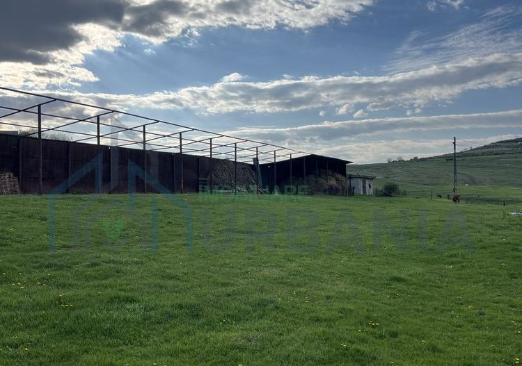 Teren 4000 mp cu casă și construcții anexe, Buhalnița, județul Iași - Poză 6