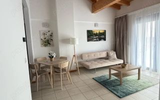Apartament 2 camere Dumbravita - Poză 1
