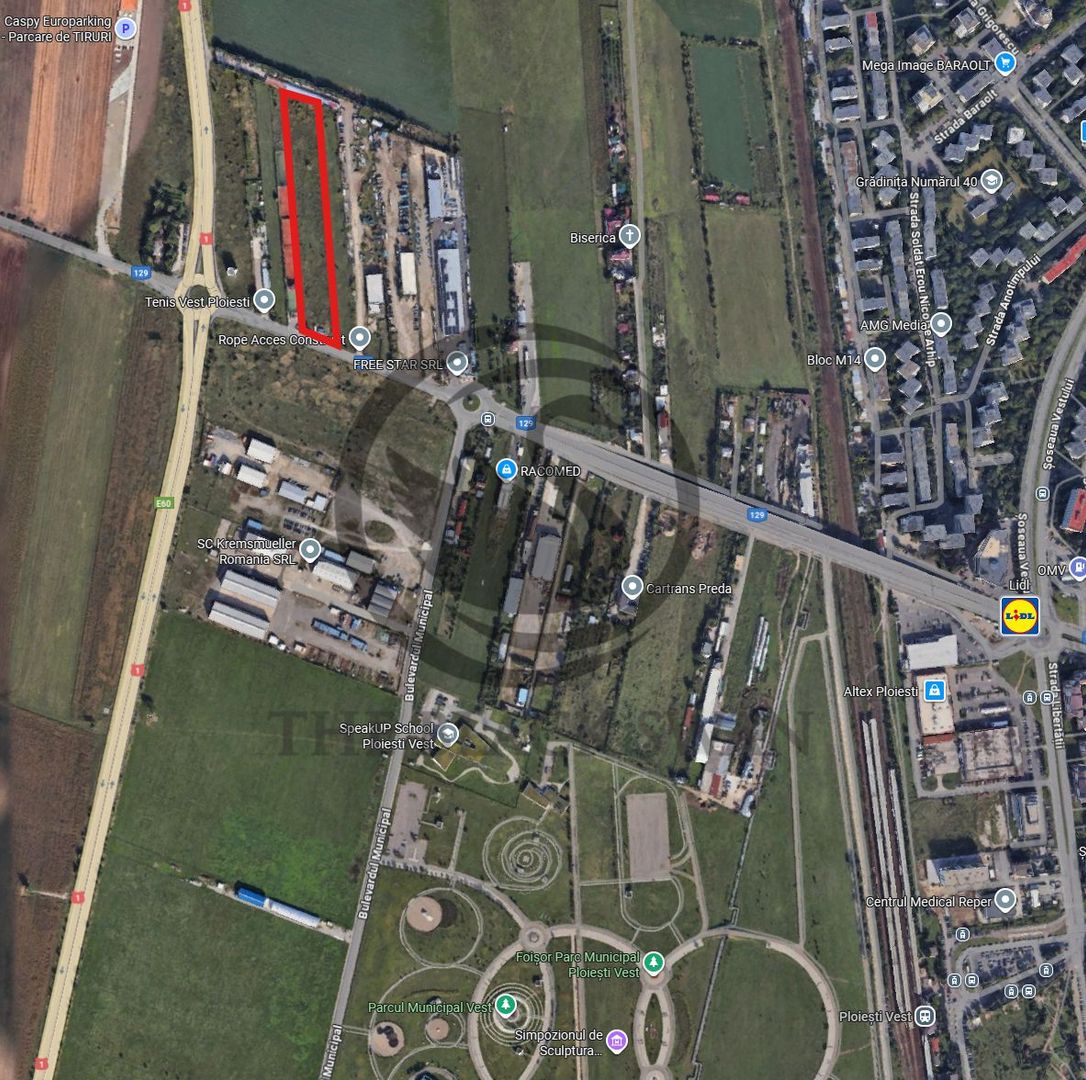 Teren intravilan de vanzare | 10.001 MP | Ploiesti  Vest | Comision 0% - Poză 6