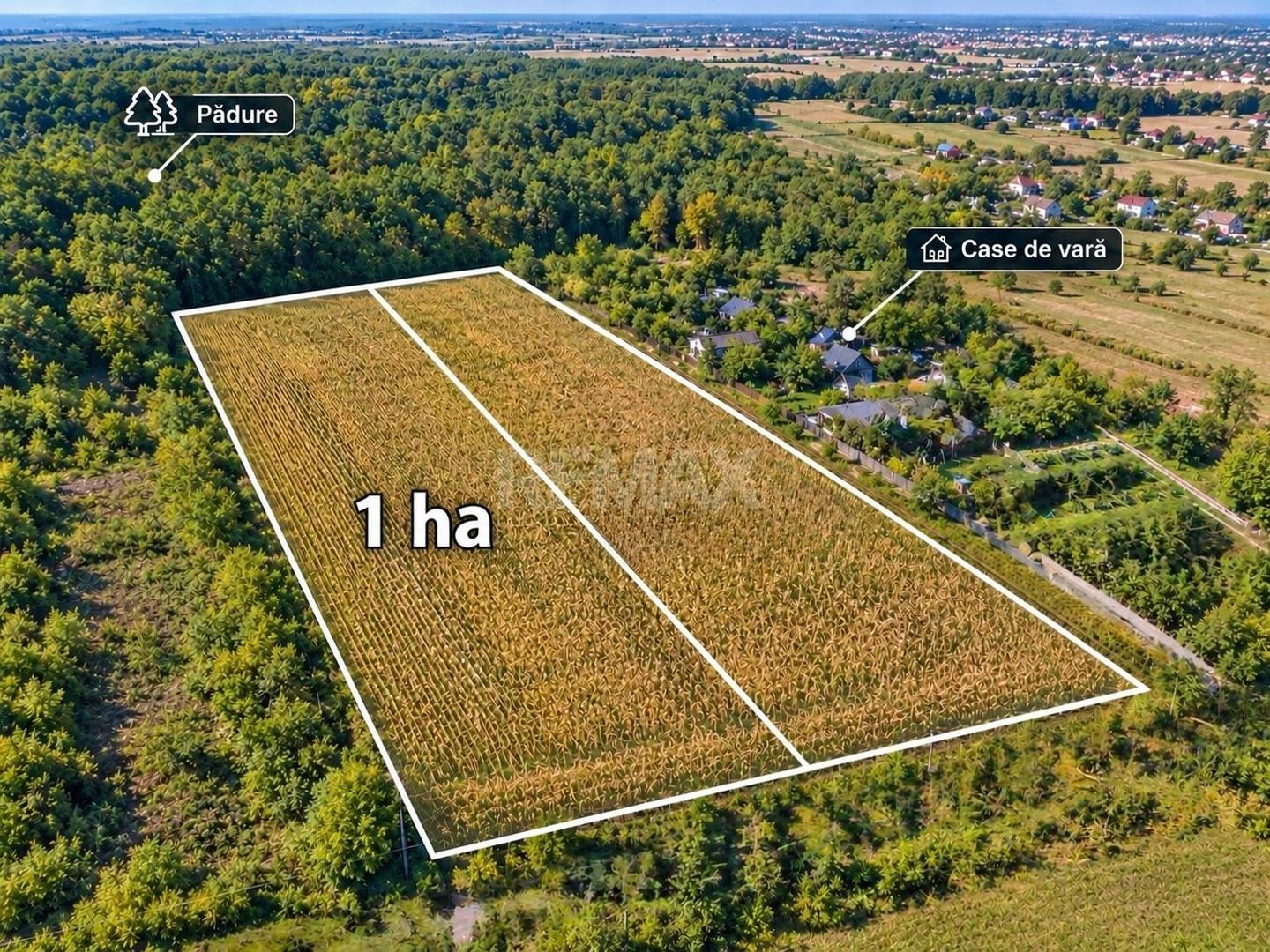 1Ha Agricol or.Ialoveni - Poză 1