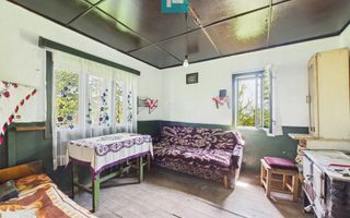 Proprietate rară cu 24.270 mp, în Măgulicea, Arad! - Poză 14