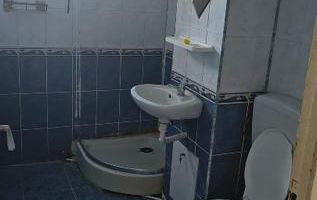 Apartament 1 camera Freidorf - Poză 8