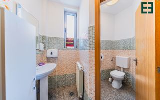 Spațiu comercial cu destinații multiple - Grădiște - Arad - Poză 10