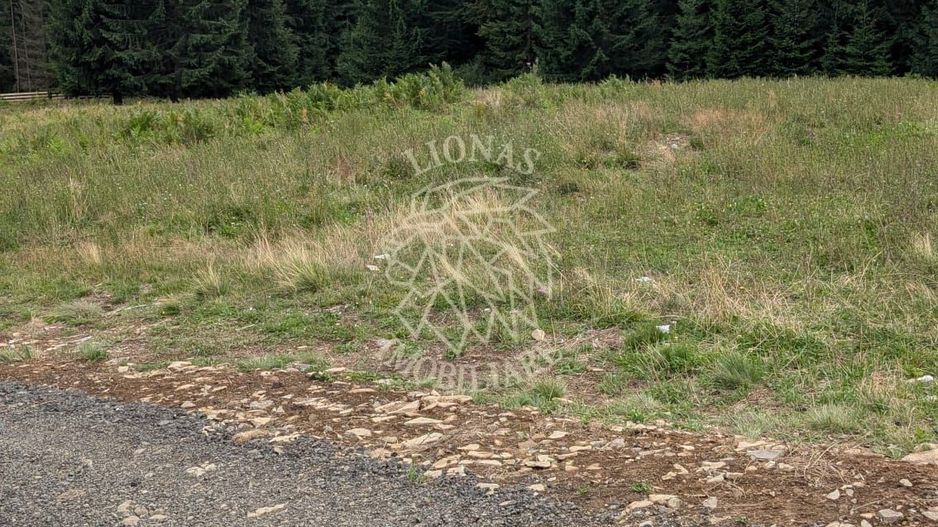 OFERTA! Teren intravilan 530 mp cu utilitati-ideal cabana-Colibita - Poză 2