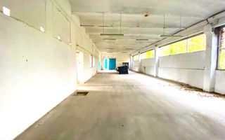 Hala de productie sau depozitare in Lugoj - Poză 1