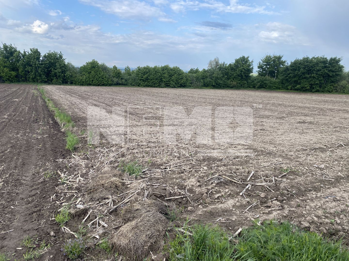 Teren Extravilan | 50 Ari | Horodnic De Jos - Poză 5