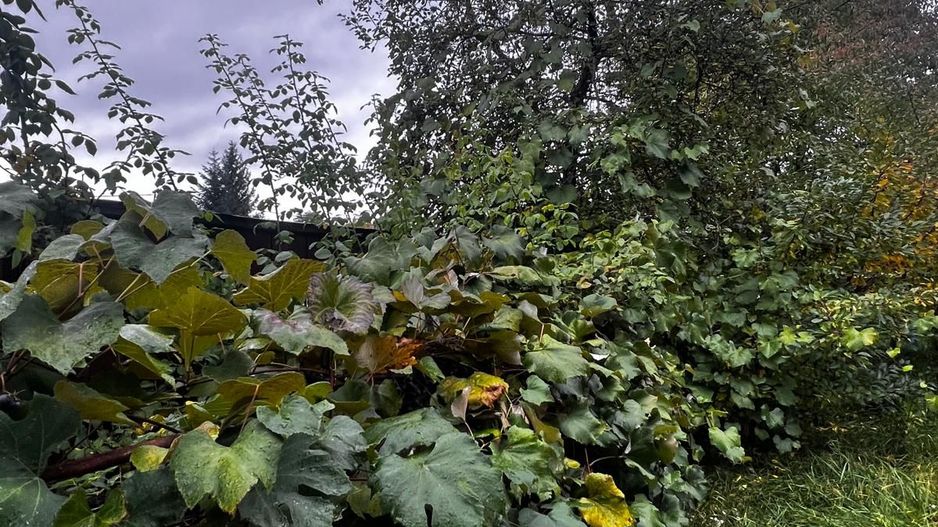 Casă complet renovată, pentru locuință sau pensiune turistică! - Poză 22