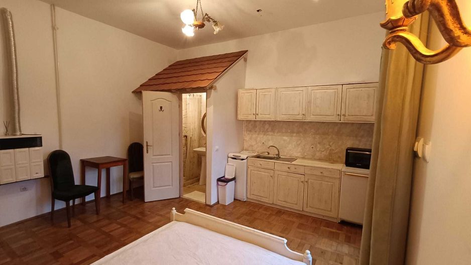 Garsoniera cu terasa proprie in vila interbelica | 20 mp + 16 mp terasa | Centru - Poză 6