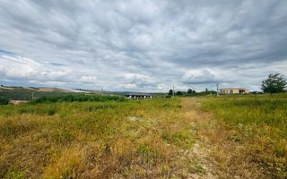 Parcele teren intravilan Paleu - Poză 2