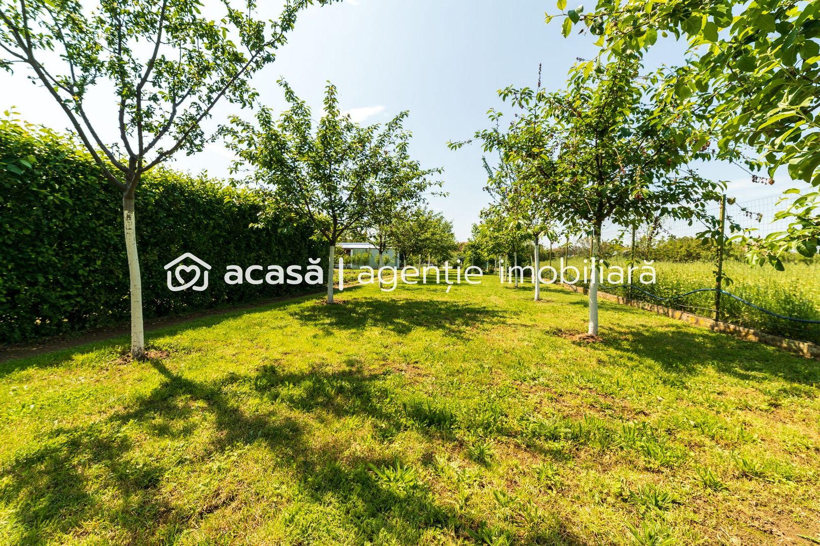 Nou! Casă frumoasă în Sâmbăteni - Poză 24